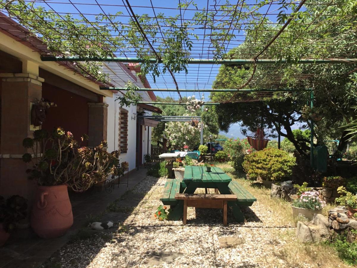 Su Saucu Vila Dorgali Exterior foto