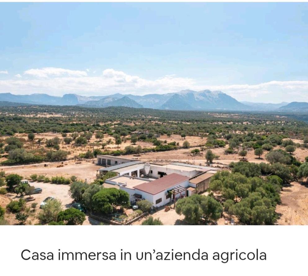 Su Saucu Vila Dorgali Exterior foto
